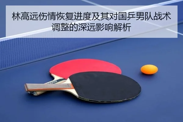 林高远伤情恢复进度及其对国乒男队战术调整的深远影响解析